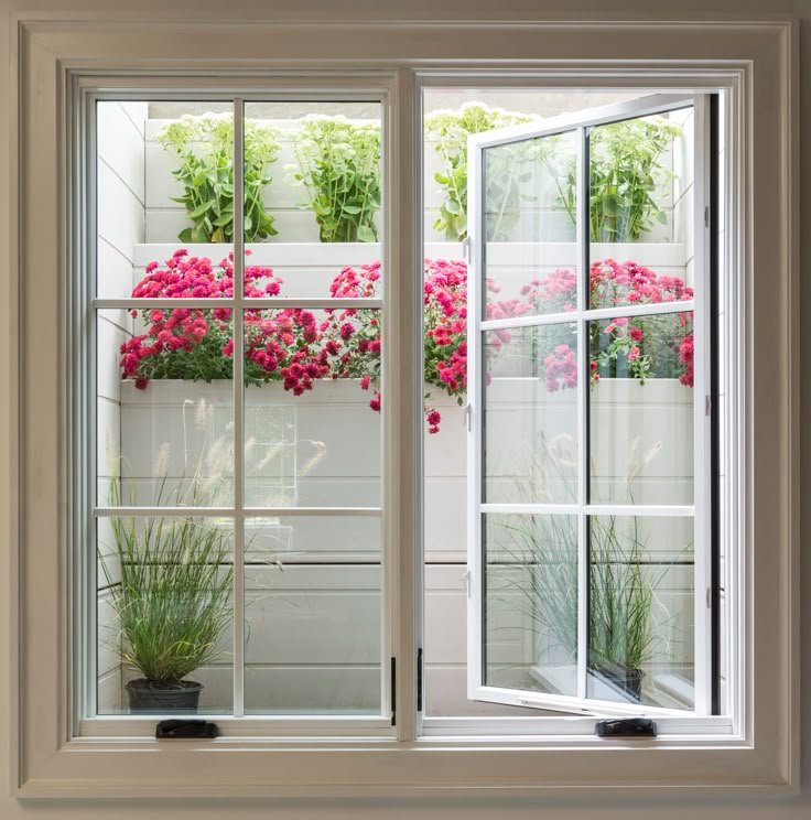 Window